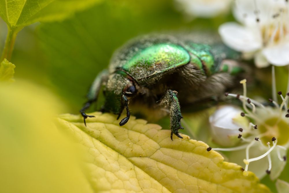 Photograph by Даниил Пузаков