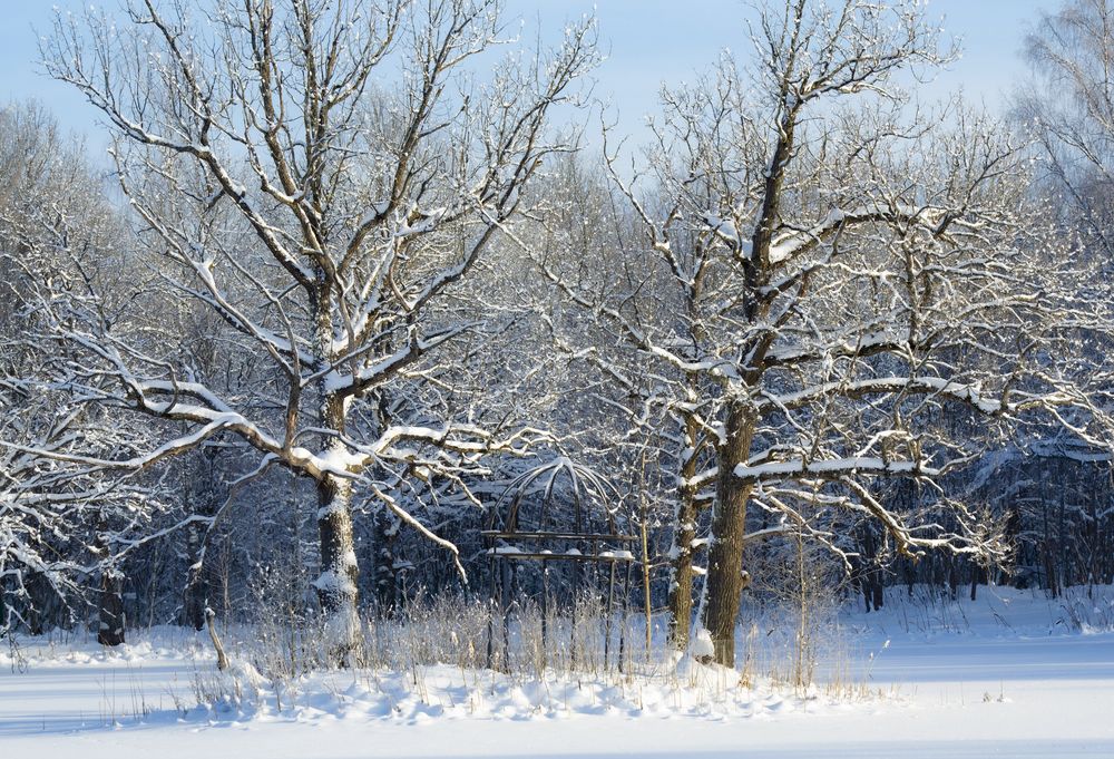 Photograph by Anna Ovanesova