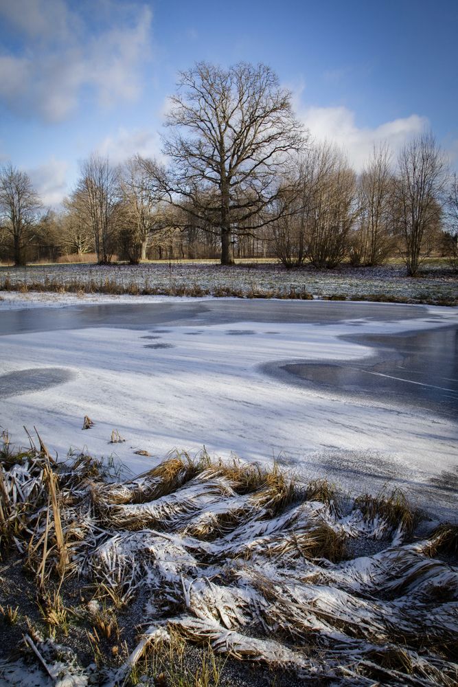 Photograph by Anna Ovanesova