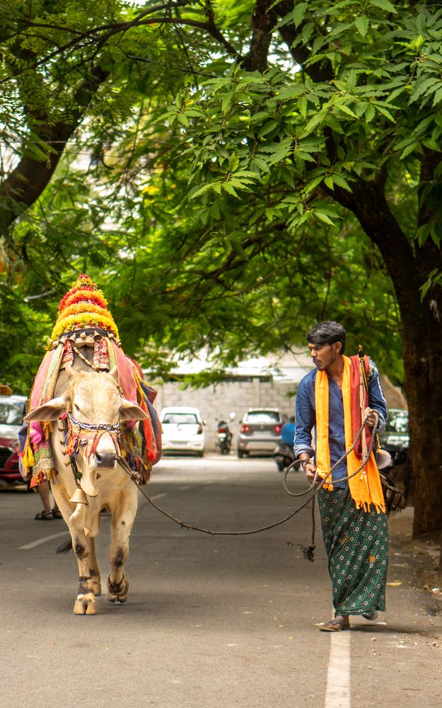 Фотография автора Murugan M