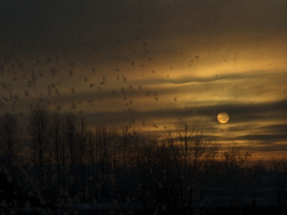 Photograph by Alexandr Gorelenkov