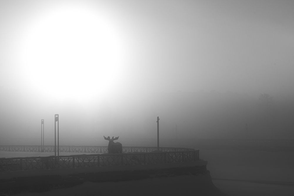 Photograph by G Shish