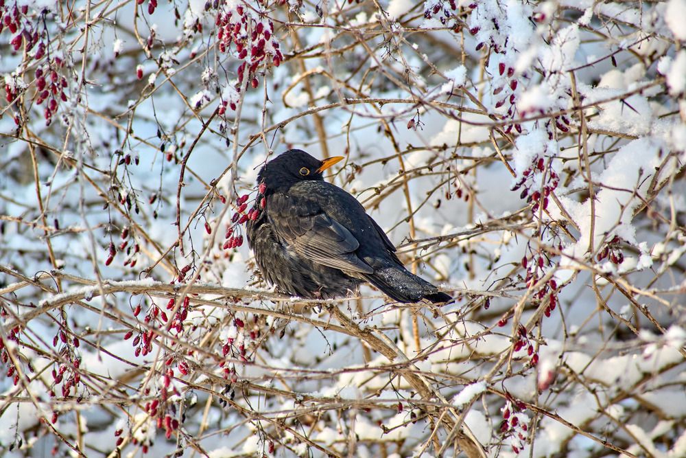 Photograph by Карпович Максим