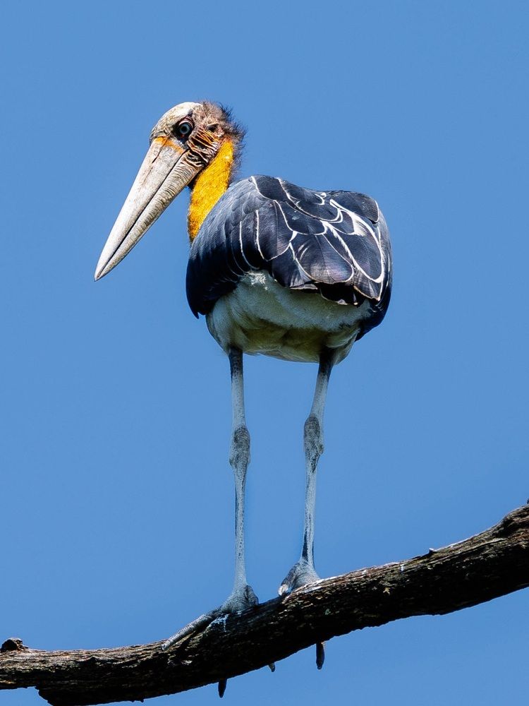 Photograph by Zubair Irshad