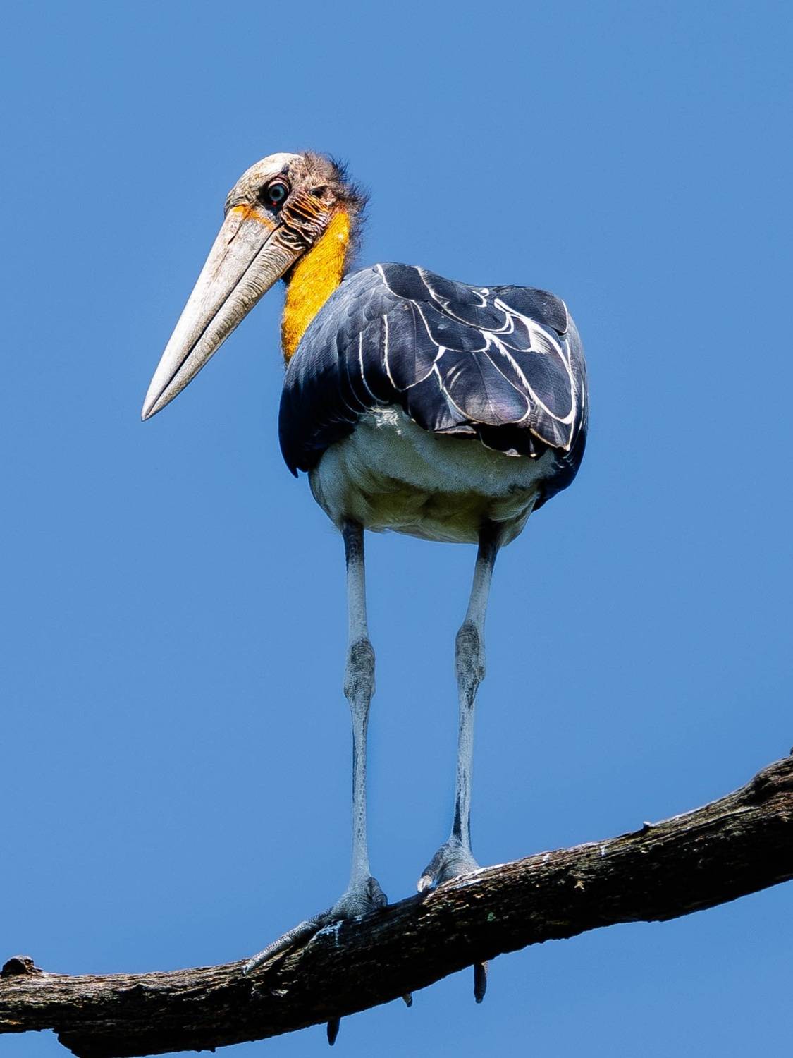 Фотография #13190574