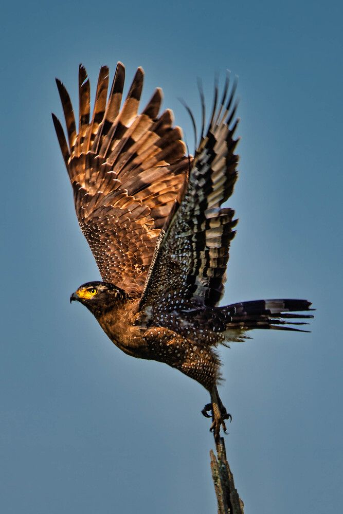 Photograph by Zubair Irshad