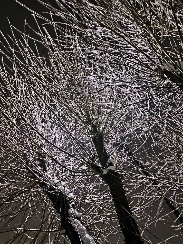 Фотография автора Александр Сенокосов