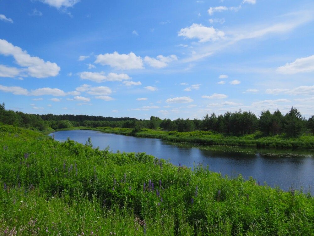 Река Кокшеньга