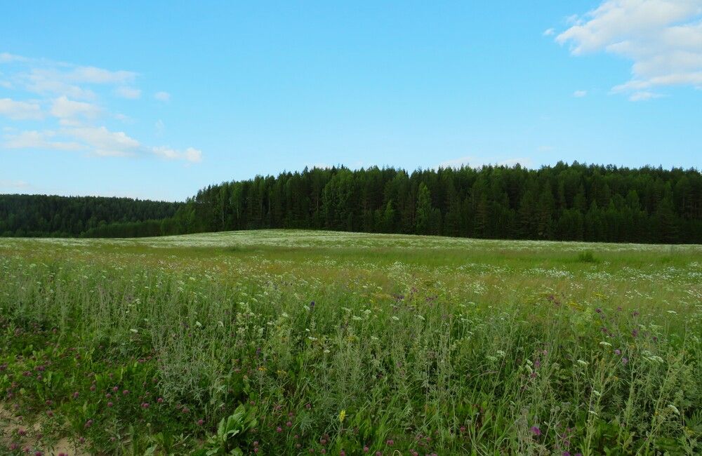 Photograph by Людмила Кононова