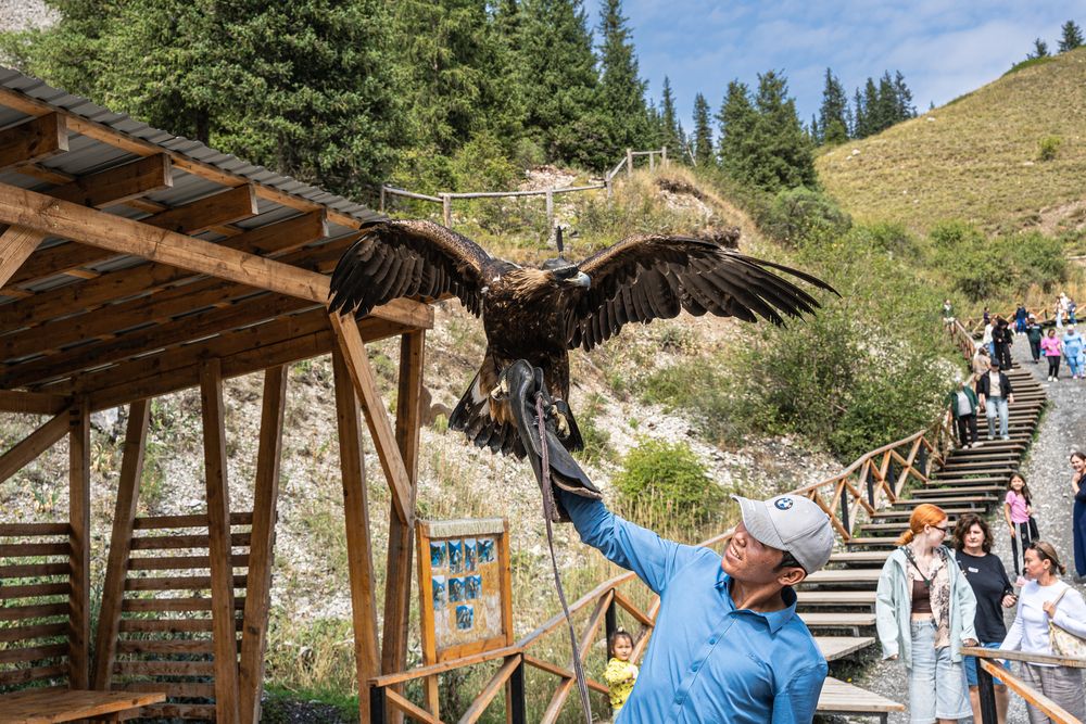 Photograph by Сергей Плотников