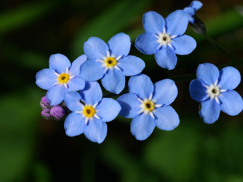 Фотография автора Владимир Лобанов