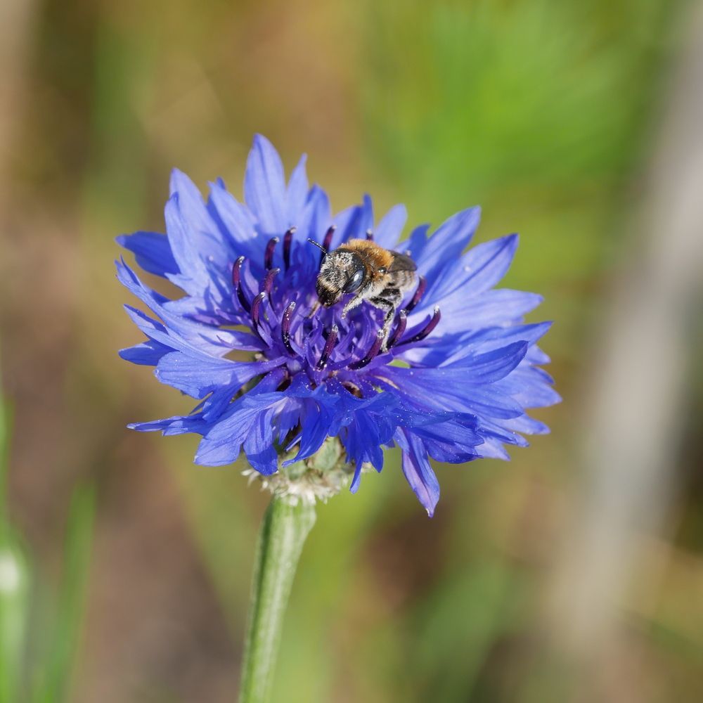 Фотография автора Владимир Лобанов
