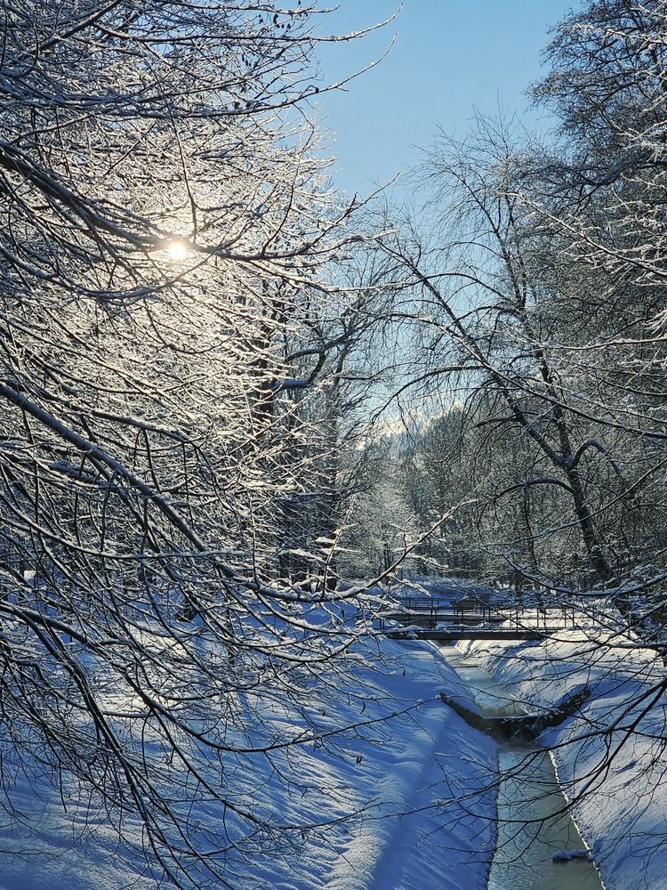 Photograph by Edmund Randal