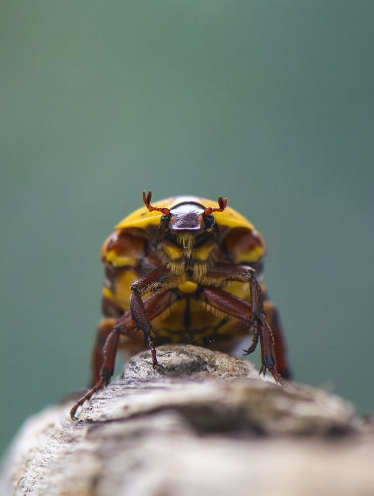 Photograph by Camilla Zocchi