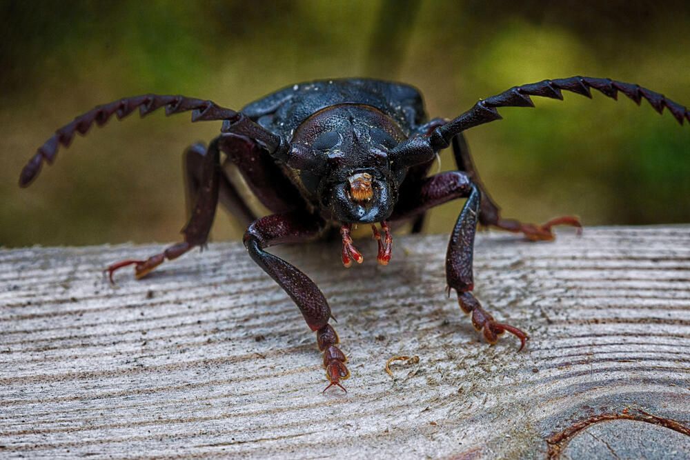 Photograph by Сергей Фомченков