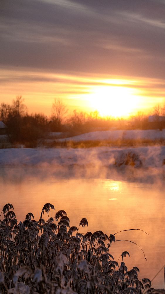 Photograph by Алексей