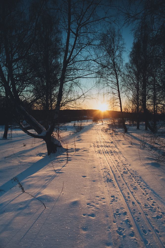 Photograph by Алексей