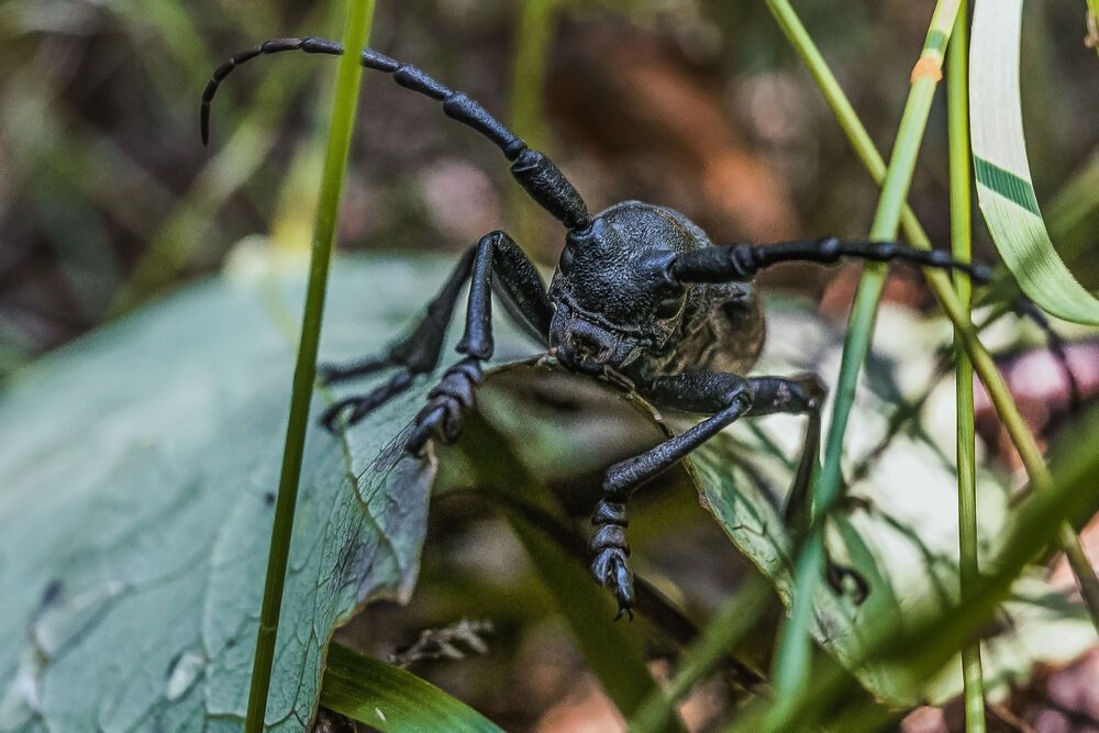 Photograph by Сергей Фомченков