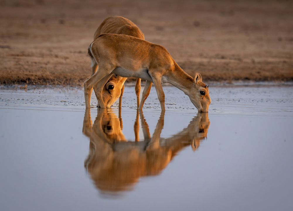 Photograph by Владимир Цветов