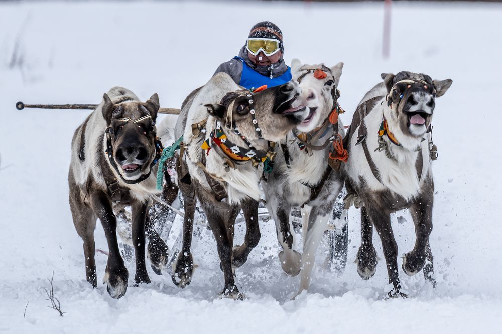 Photograph by ARTEM KORZHUKOV