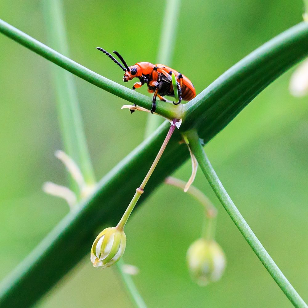 Photograph by Oleg Patrin