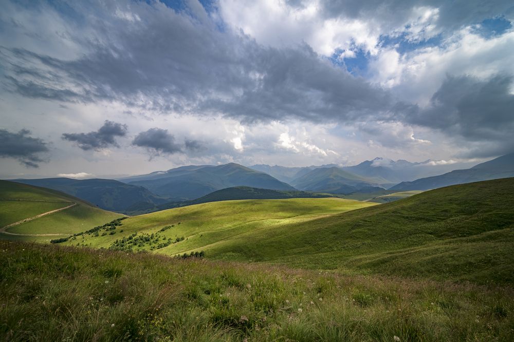 Photograph by Алексей Мякота