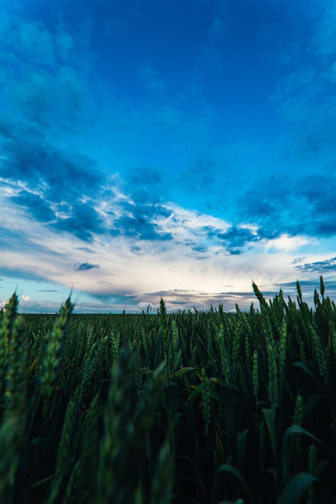 Photograph by Алексей