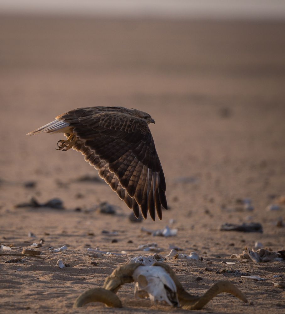 Photograph by Renny Joseph