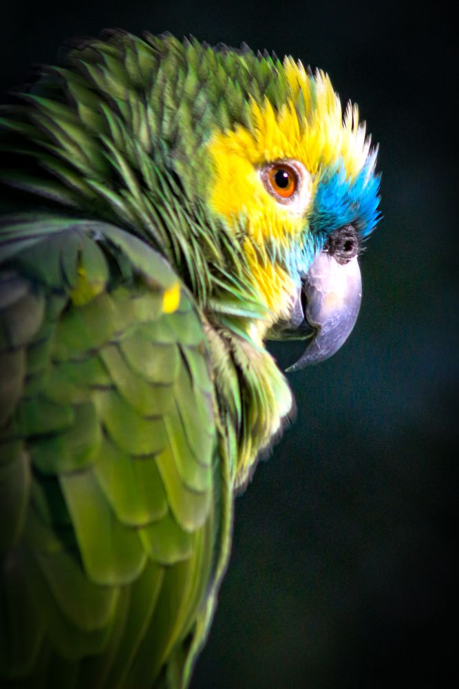 Photograph by Fabiano Manhães