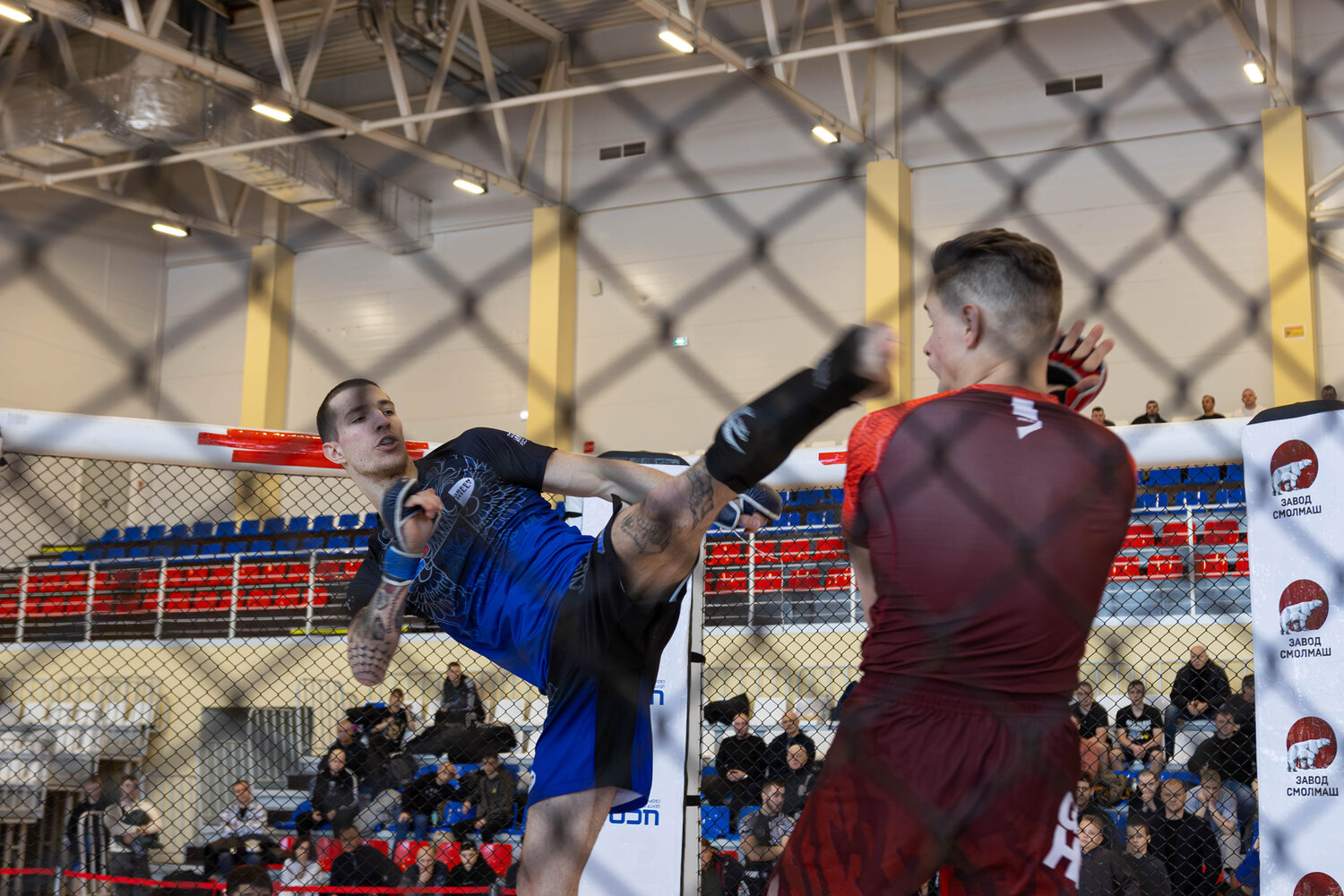 Photo #13190892