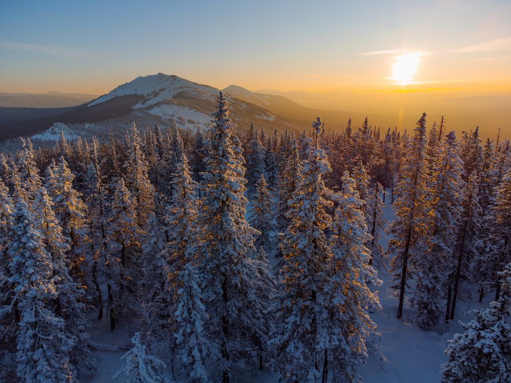 Photograph by Манаков Илья