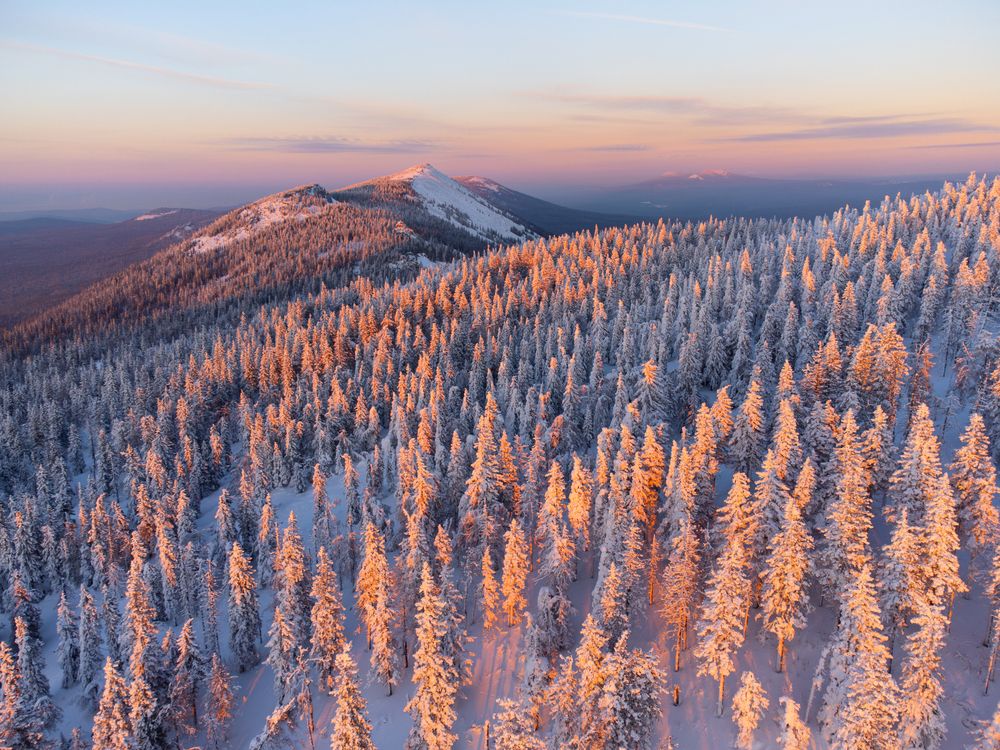 Photograph by Манаков Илья