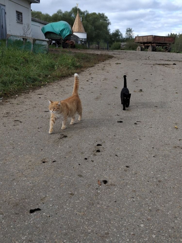 Photograph by Людмила Щепилова