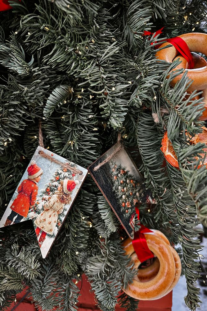 Photograph by Михаил Мак