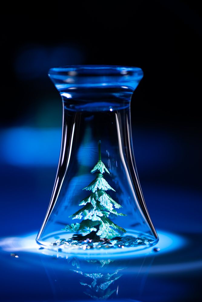 Photograph by Светлана Афанасьева