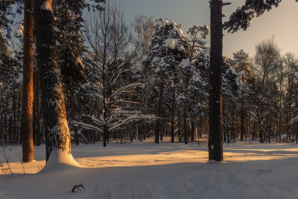 Photograph by Михаил Мак