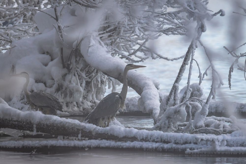 Photograph by Хабаров Сергей