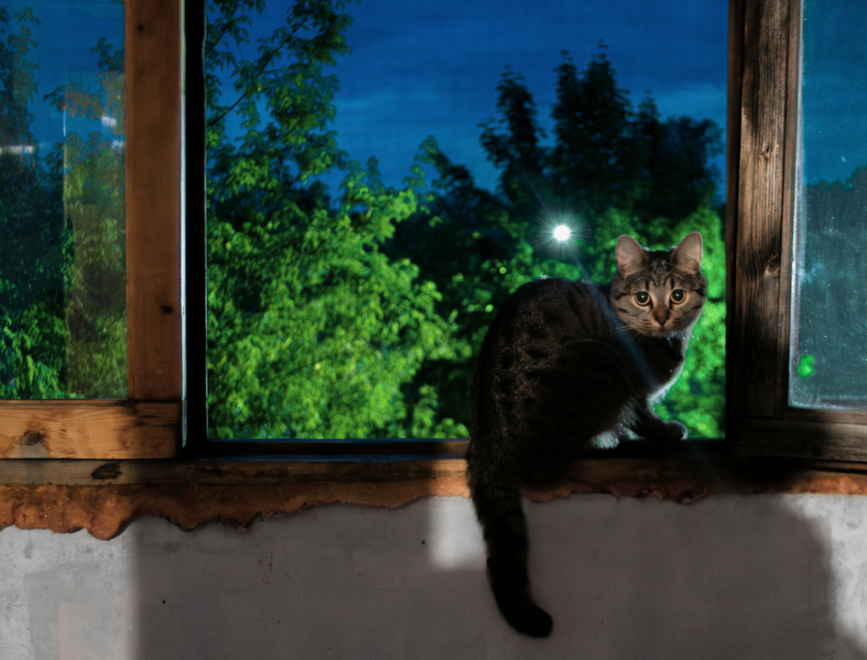 Photograph by Алиса Глыбоцкая