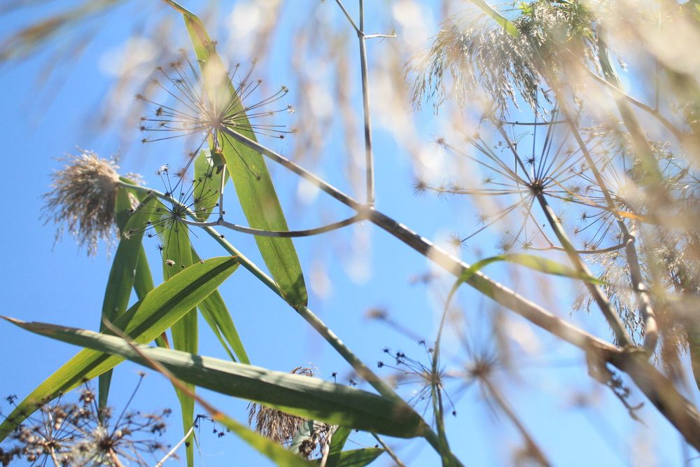 Photograph by Мария Бобылева