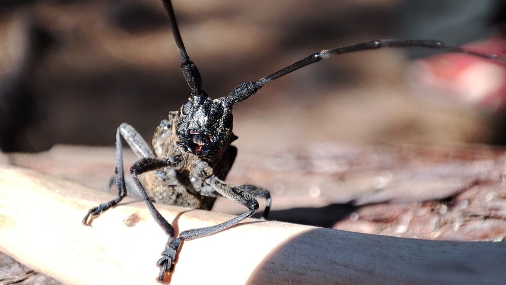 Фотография автора Калюнова Наталья