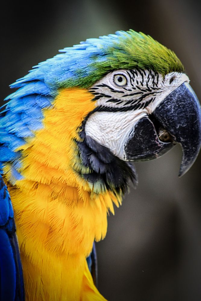 Photograph by Fabiano Manhães