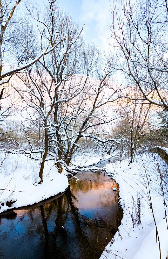 Фотография автора Нина Зинченко