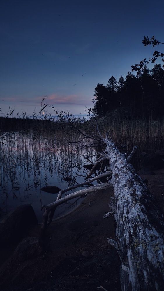 Photograph by Калюнова Наталья