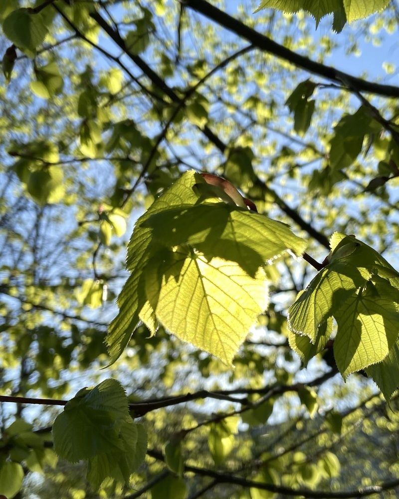 Photograph by Светлана Станевич