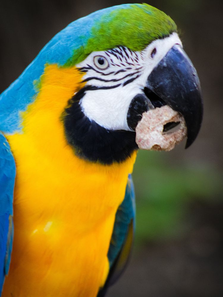 Photograph by Fabiano Manhães