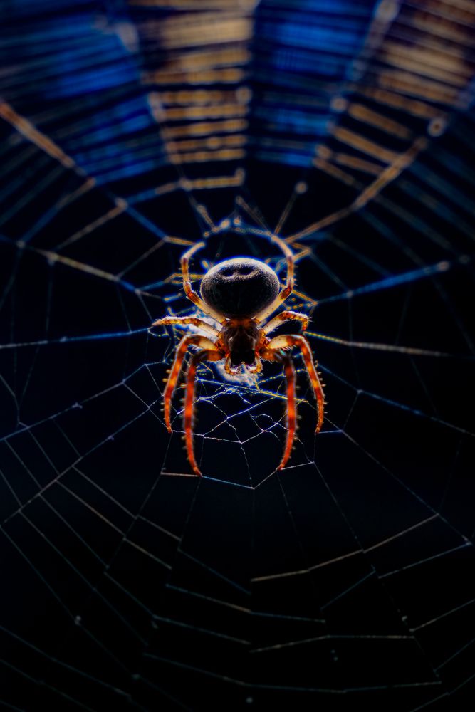 Photograph by Шеин андрей