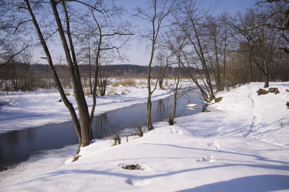 Photograph by Мария Бобылева