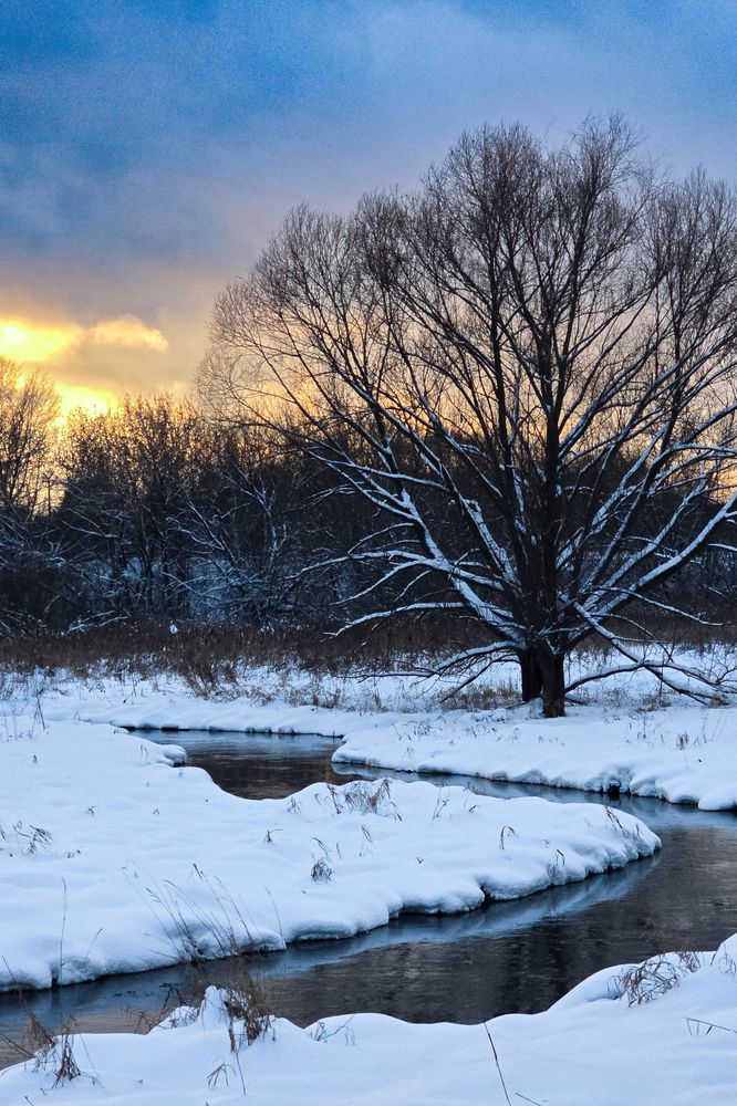 Фотография автора Нина Зинченко
