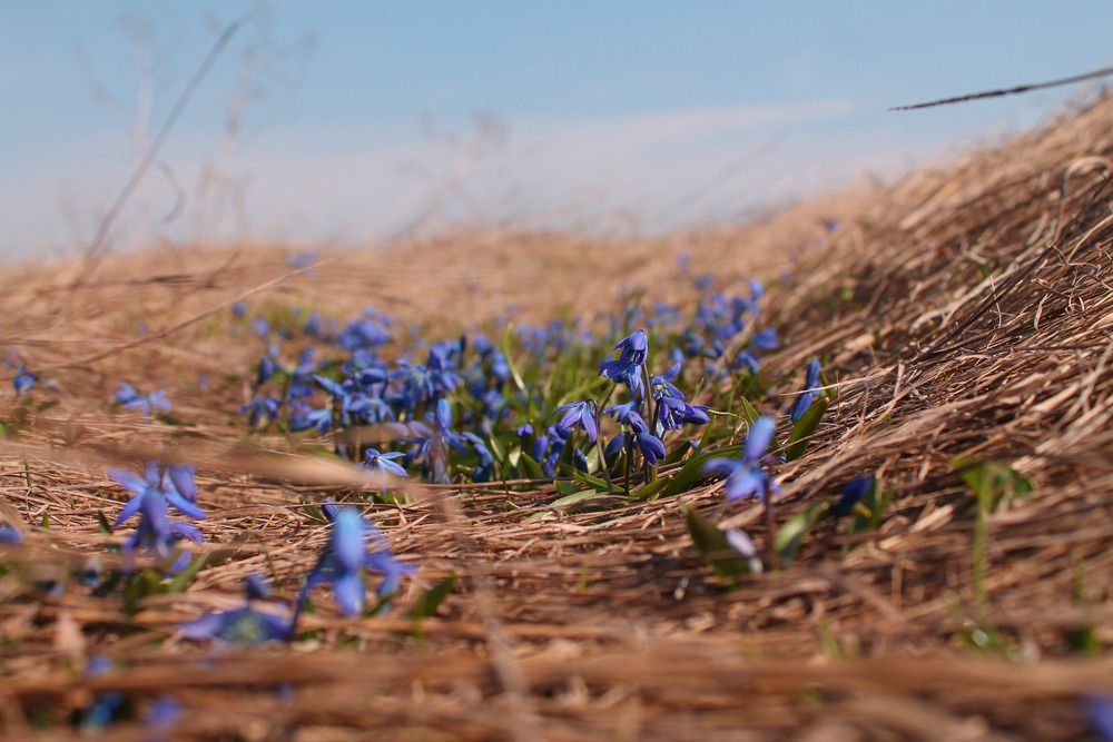 Photograph by Мария Бобылева