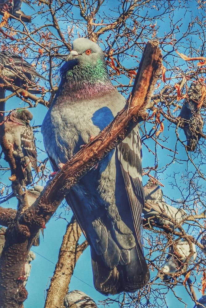 Photograph by Valerya Vasileva